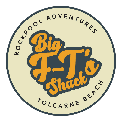 Big F-T's Rock Pool Adventures Logo